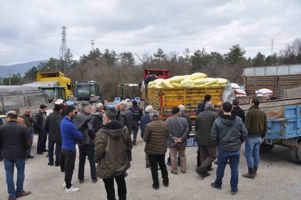 Duyan geldi, bir saat içinde bitti!