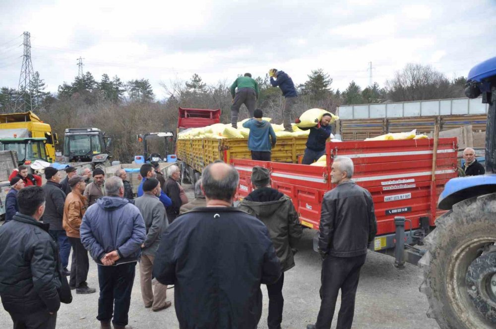 Duyan geldi, bir saat içinde bitti!