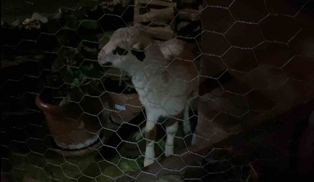 Alevler geceyi aydınlattı