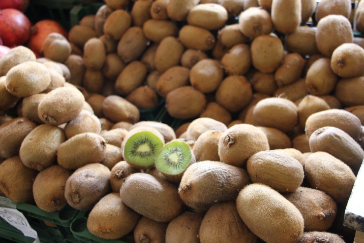 Karadeniz'de 'tropik meyve' üretimi