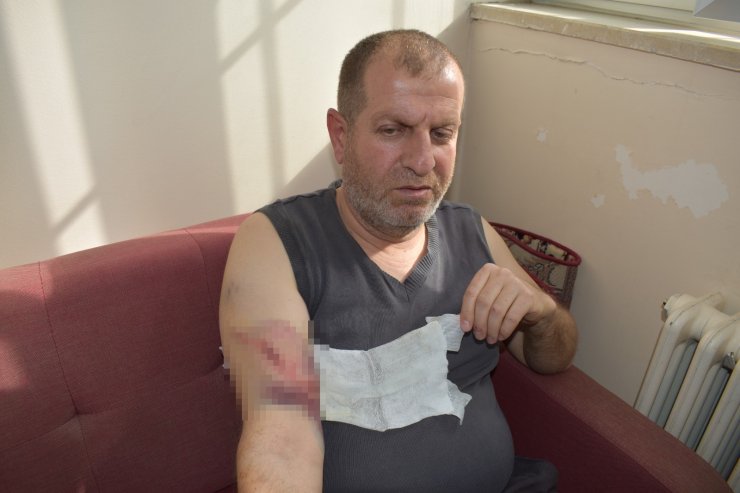 Okul bahçesinde sahipsiz köpeğin saldırdığı öğretmen ile öğrencisi yaralandı