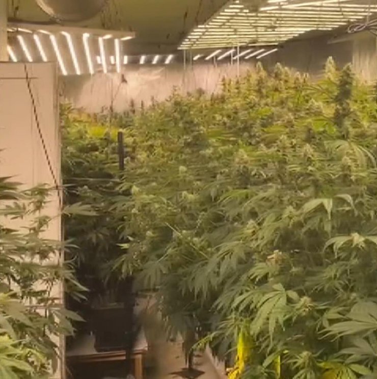 8 milyonluk tesisde 20 milyon değerinde uyuşturucu yakalandı