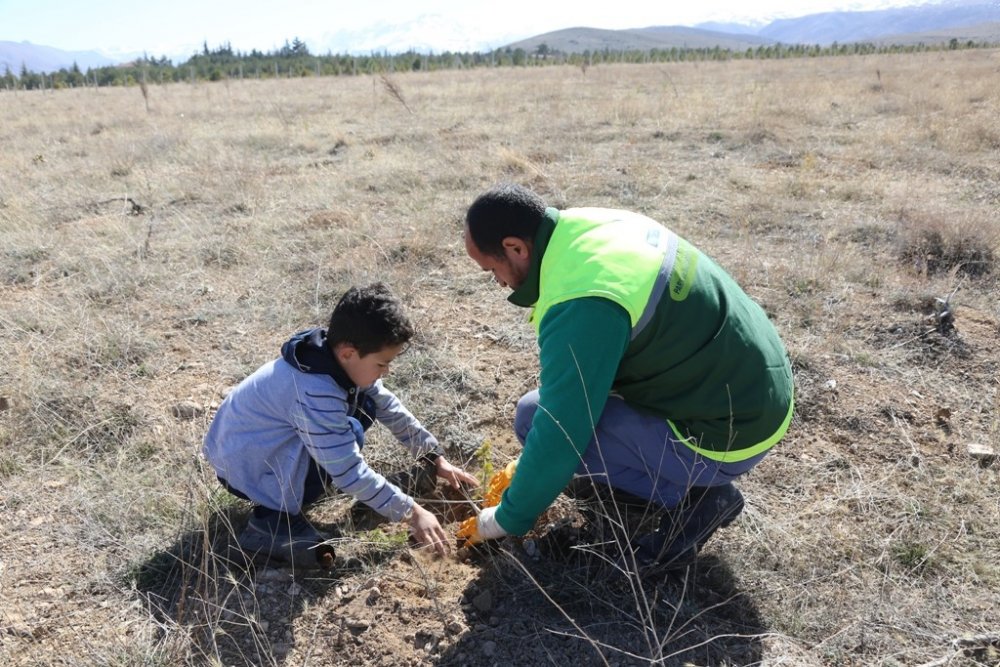 Konya'da fidan dikimine minikler de katıldı