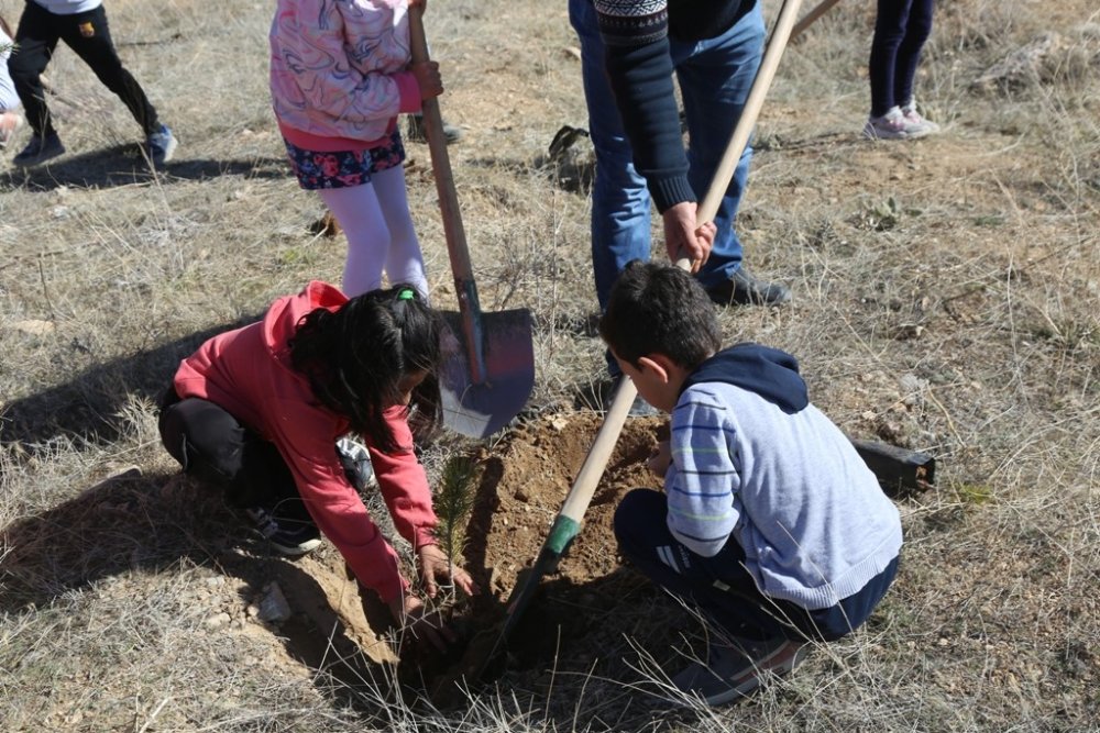 Konya'da fidan dikimine minikler de katıldı