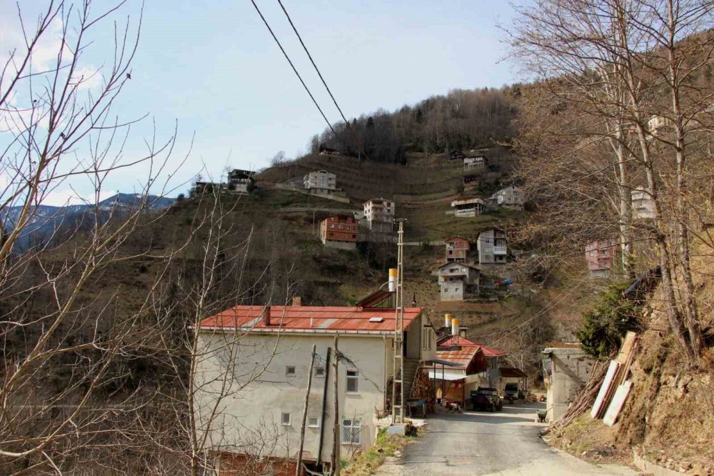 Sel ve heyelanla gittiler, depremle döndüler