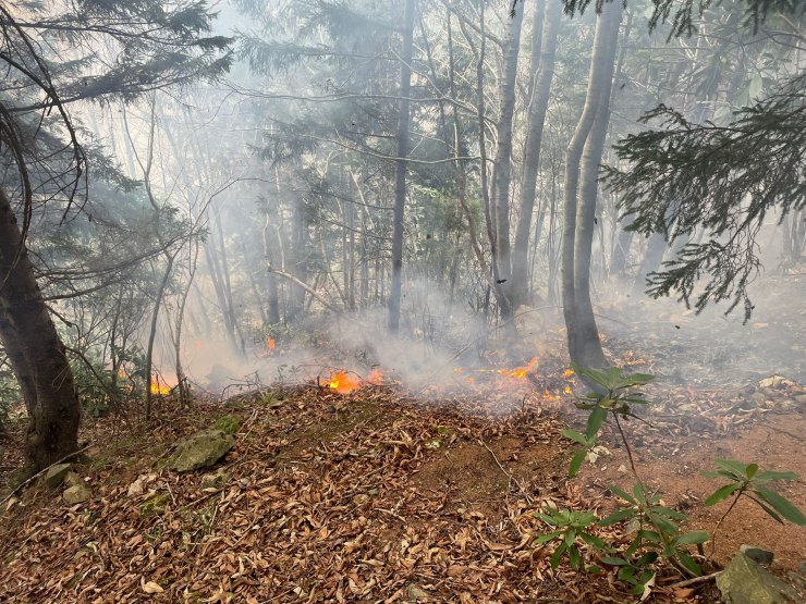 Trabzon'da örtü yangını söndürüldü
