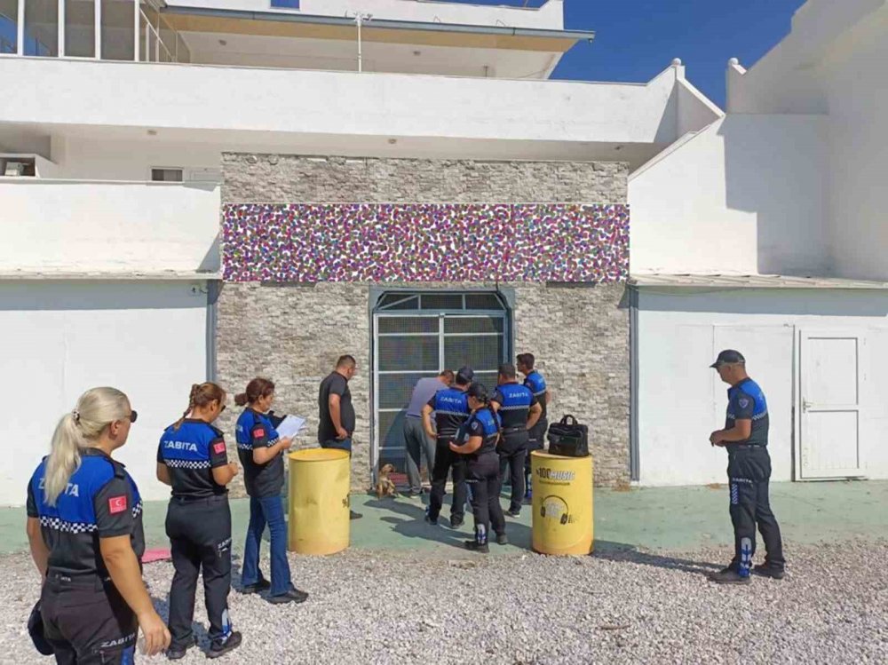 Konyalı Zehra Bayır cinayetinde yeni gelişme