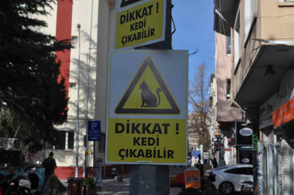 Ara sokakta hız yapan duyarsız sürücüler için 'kedili' önlem
