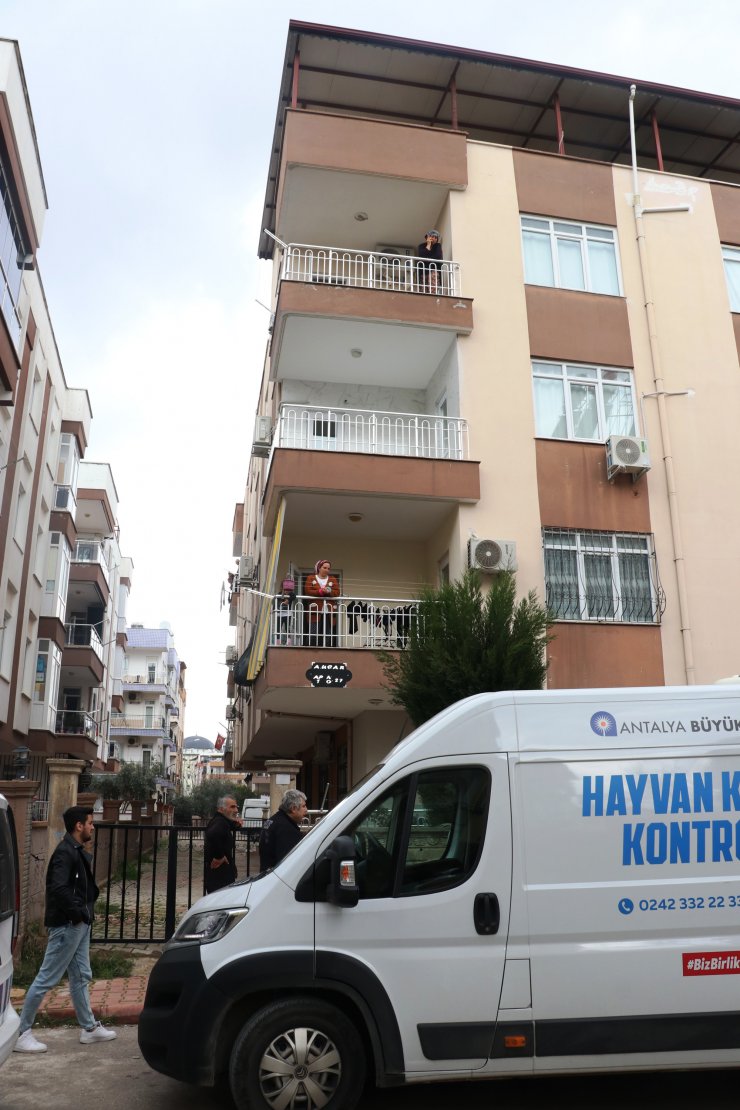 Apartmanda 4 saat 'pitbull esareti'