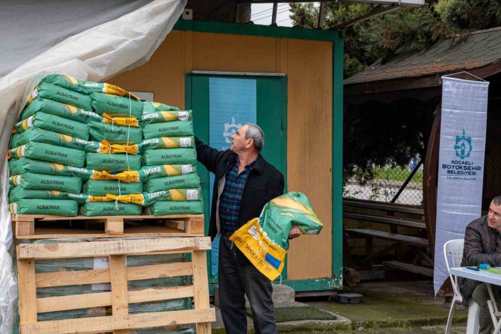 Çiftçilere tohum desteği