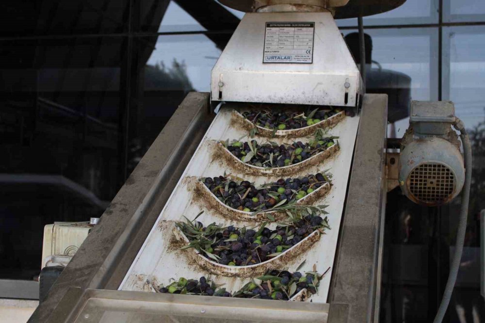 İşletmeci isyan etti! Aylık 24 bin liraya hamal, 30 bin liraya usta bulamıyorum