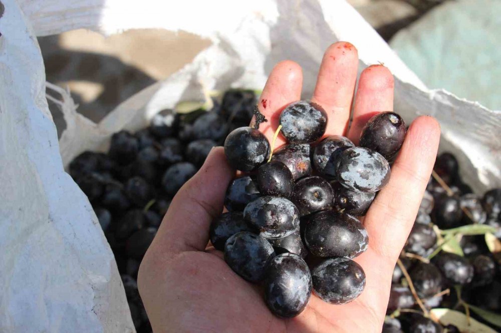 İşletmeci isyan etti! Aylık 24 bin liraya hamal, 30 bin liraya usta bulamıyorum