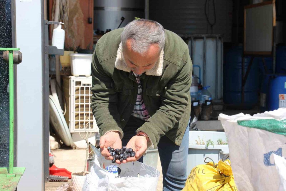 İşletmeci isyan etti! Aylık 24 bin liraya hamal, 30 bin liraya usta bulamıyorum