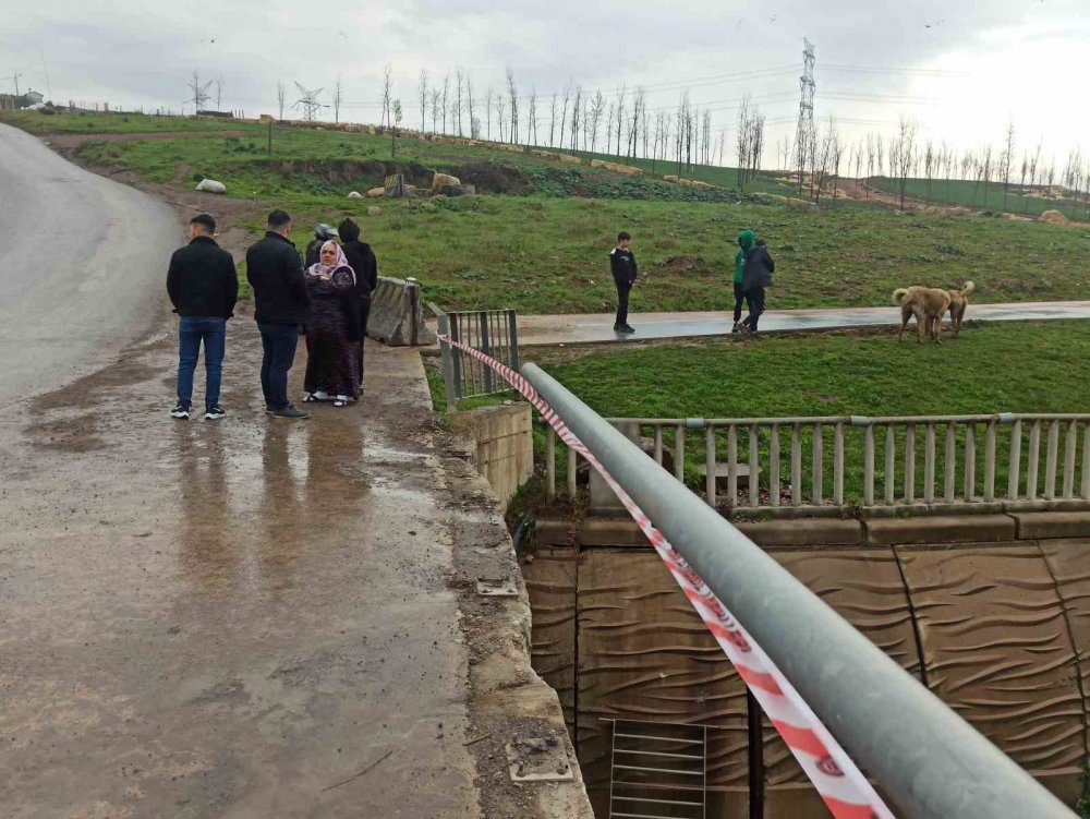 Araç demir korkulukları aşıp dereye uçtu