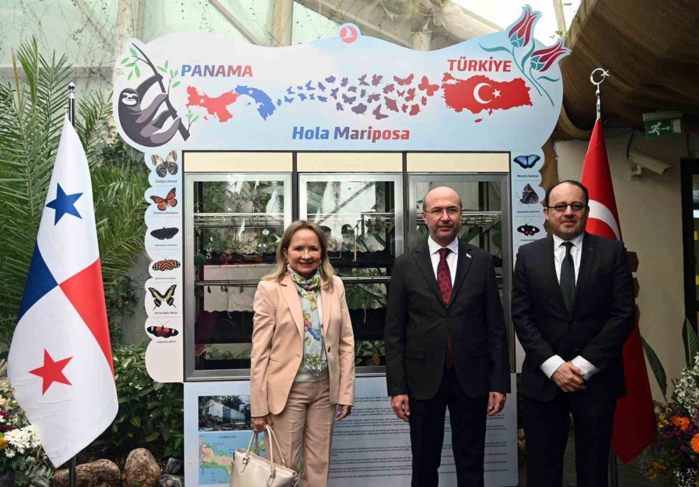 Panama’dan gelen kelebekler Konya Tropikal Kelebek Bahçesi’nde ilk uçuşlarını yaptı