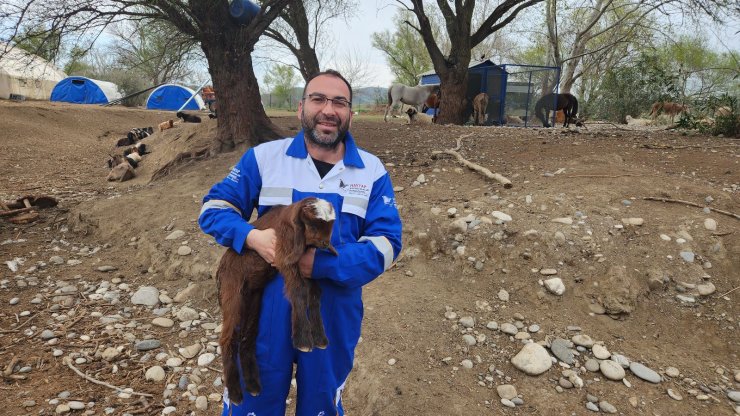Enkazdan çıkarılan keçi doğum yaptı, oğlağa onun adını verdiler