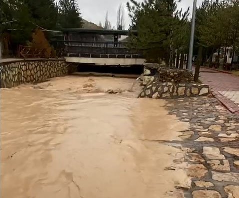 Doktor balıklar 'sel' tehdidi altında