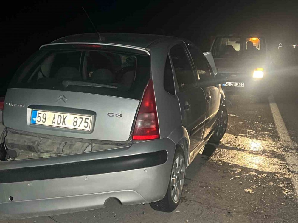 Nevşehir’de başıboş köpek kazaya neden oldu