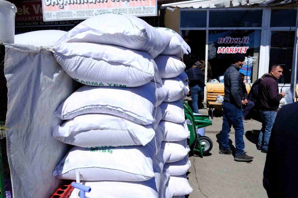 Kar maskeli hırsızlık