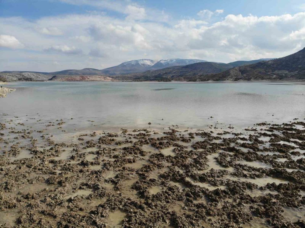 Konya’daki barajların doluluk oranı