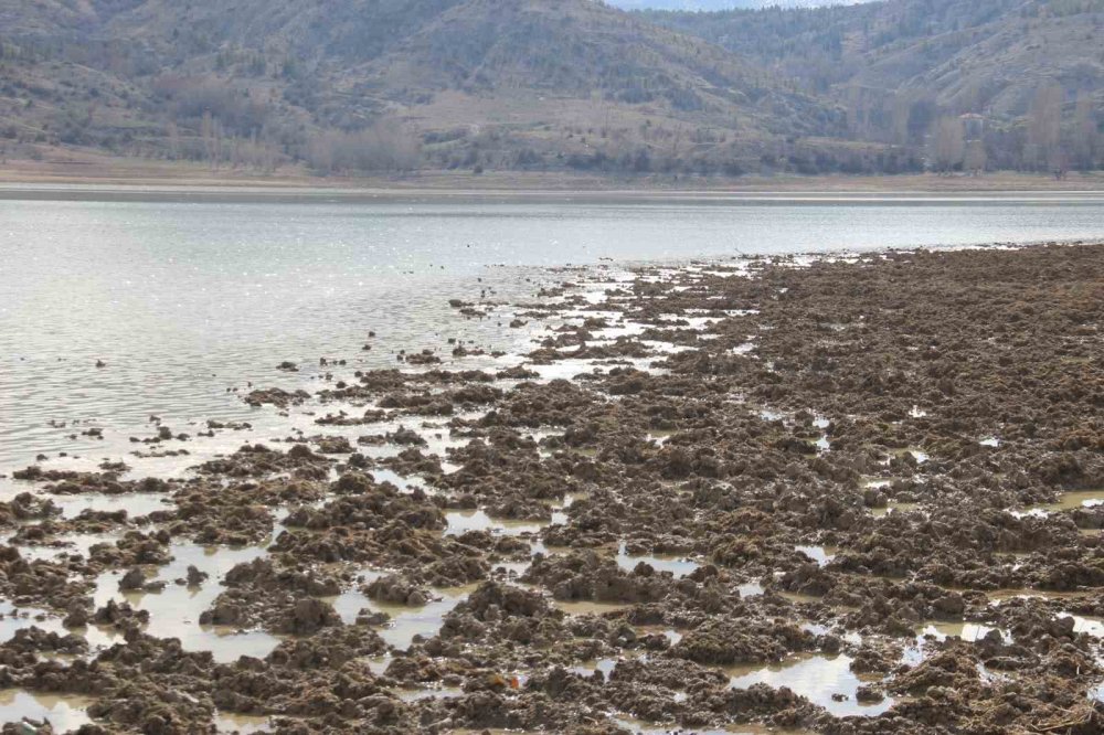 Konya’daki barajların doluluk oranı