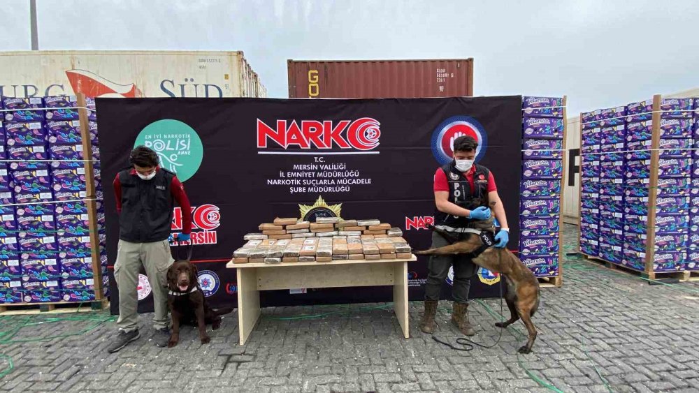 Muz yüklü konteynerde 97 kilo 500 gram kokain ele geçirildi