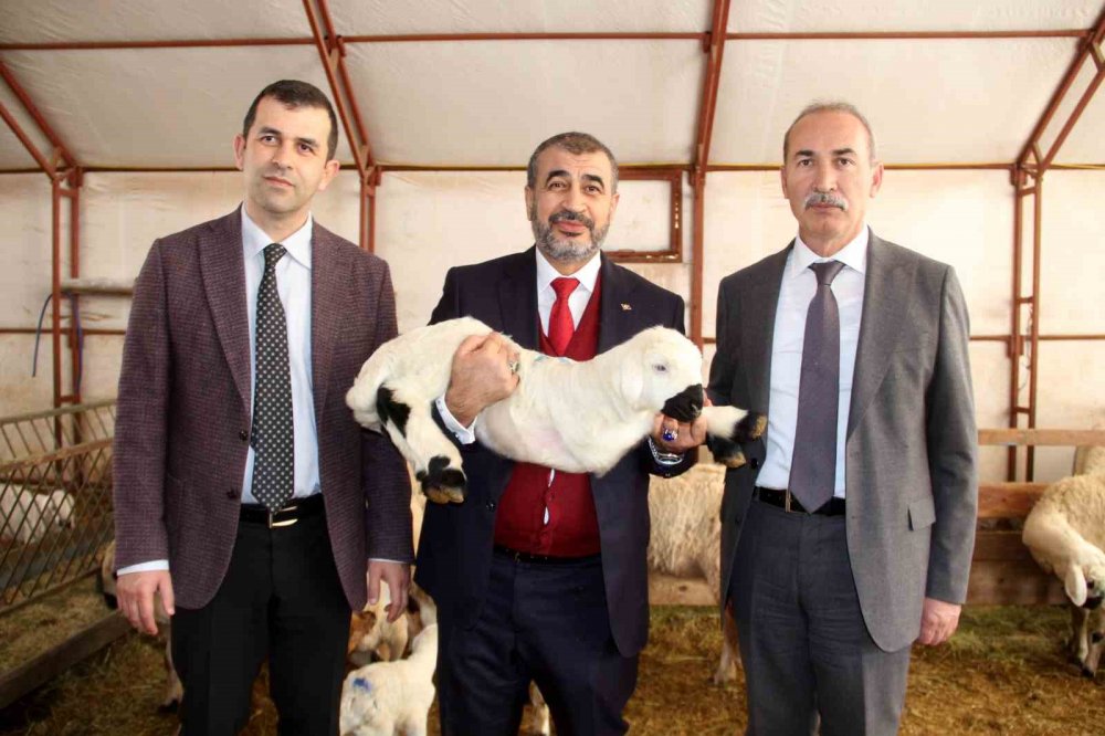 Elde edilen gelir burs olarak verilecek