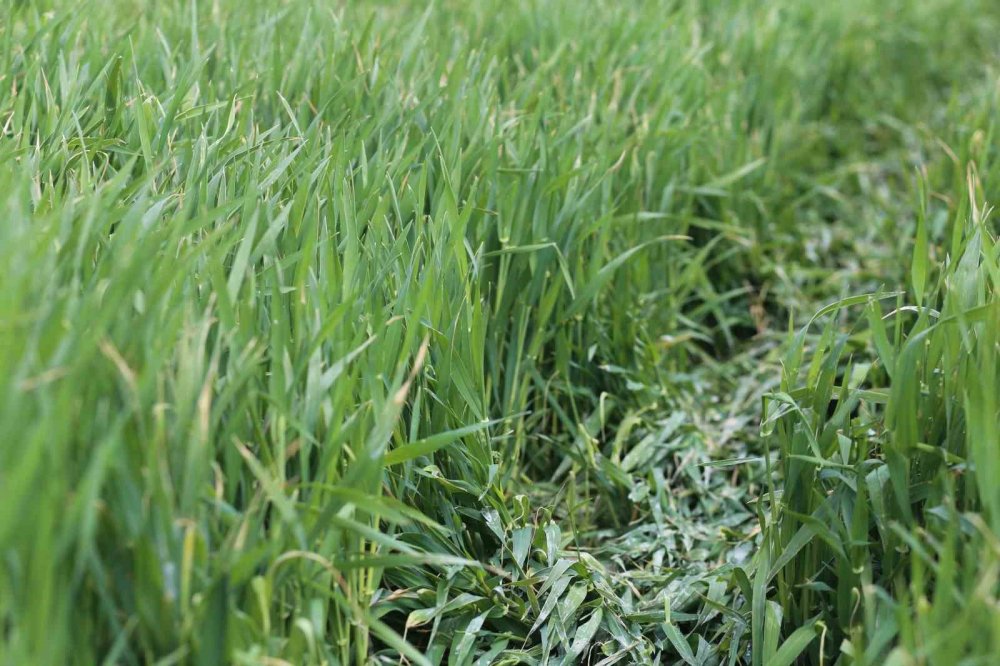 Konya ovası için uzmanlardan dikkat çeken uyarı