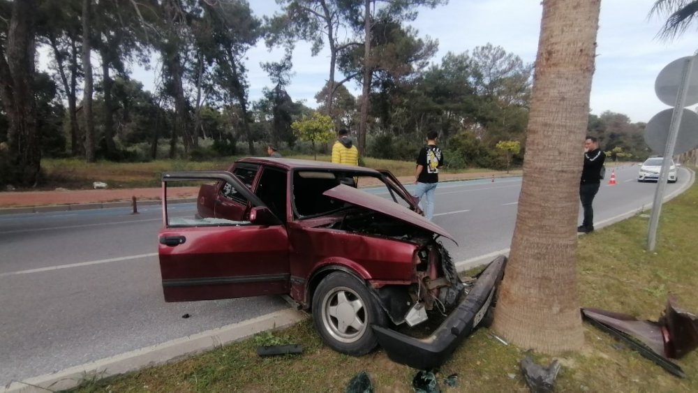 Palmiyeye çarpan otomobil hurdaya döndü,