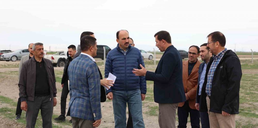 Konya'da iki belediyeden iş birliği! 350 bin kilo nohut hasadı bekleniyor