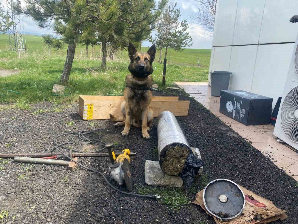 Yolcu otobüsündeki 15 kilo uyuşturucuyu "Asır" buldu