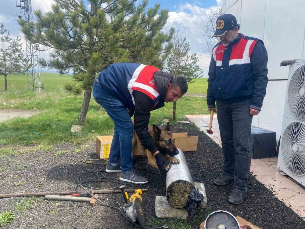 Yolcu otobüsündeki 15 kilo uyuşturucuyu "Asır" buldu