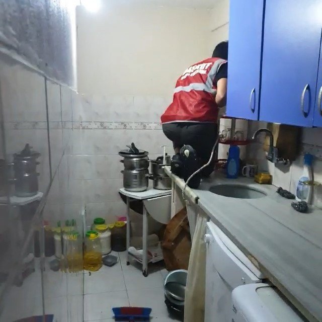 Eve giren tilki, aileyi rehin aldı