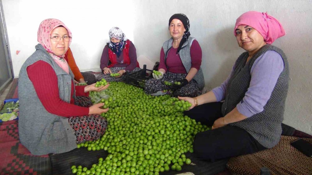 İlkçıktığında bin 500 liraydı, şimdi ise 20 ile 100 lira arasında değişiyor