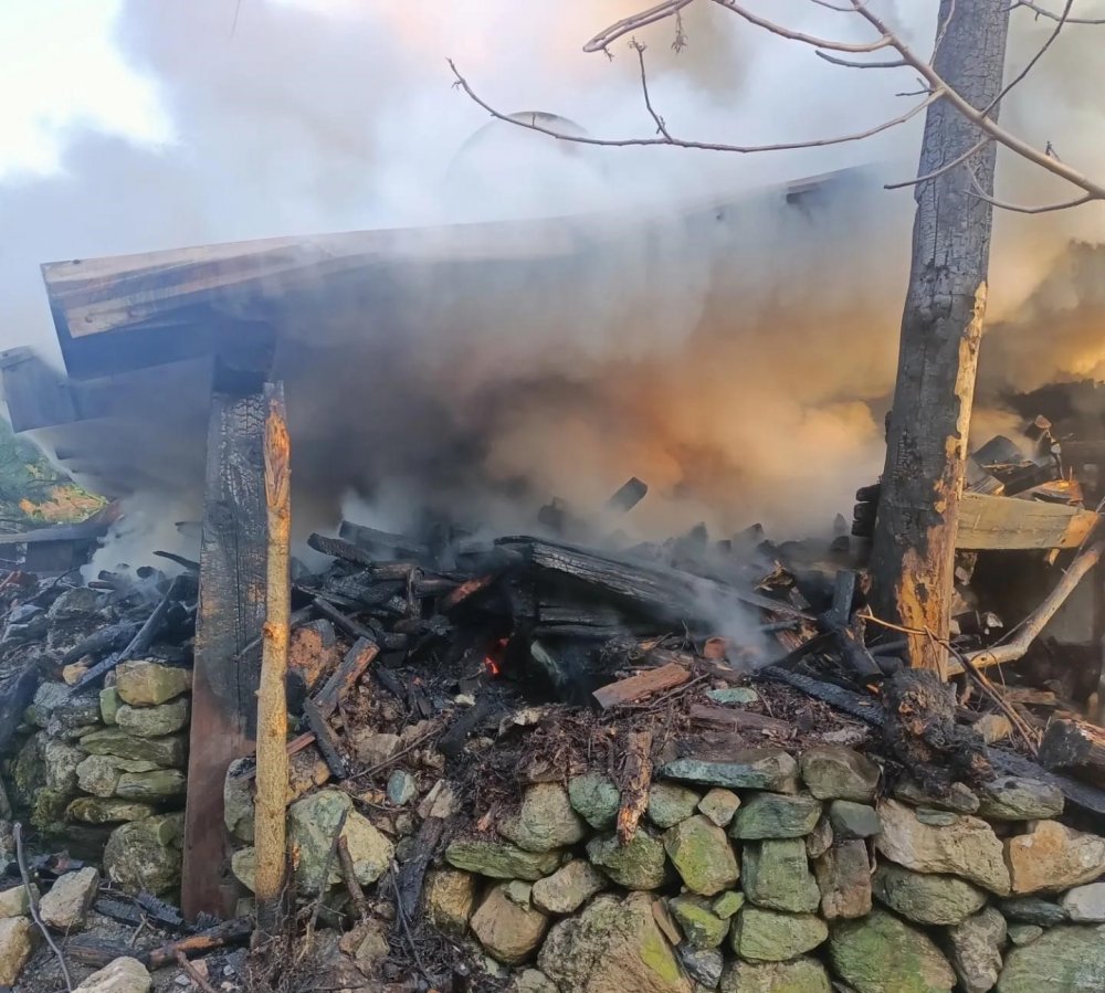 Yangının eve sıçramasını ekipler önledi