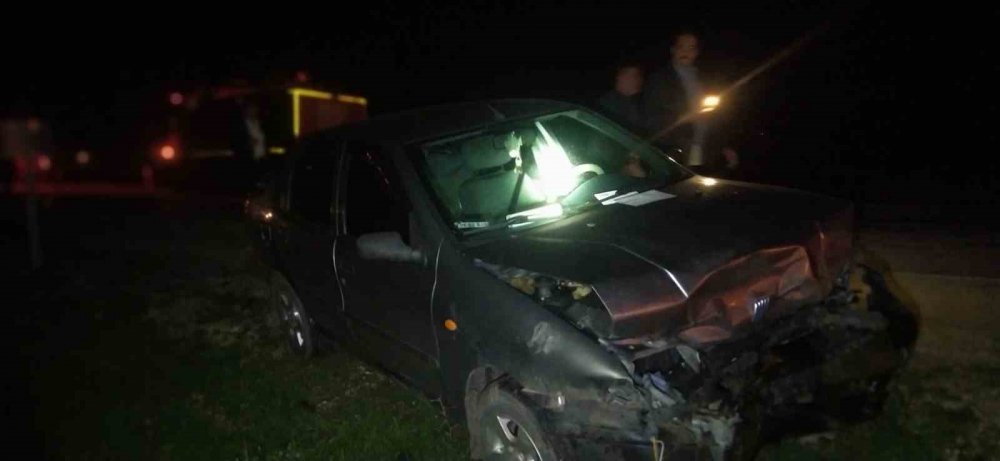 Otomobil domuz sürüsüne daldı