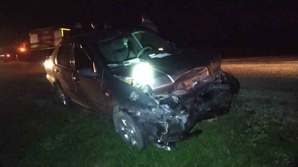 Otomobil domuz sürüsüne daldı