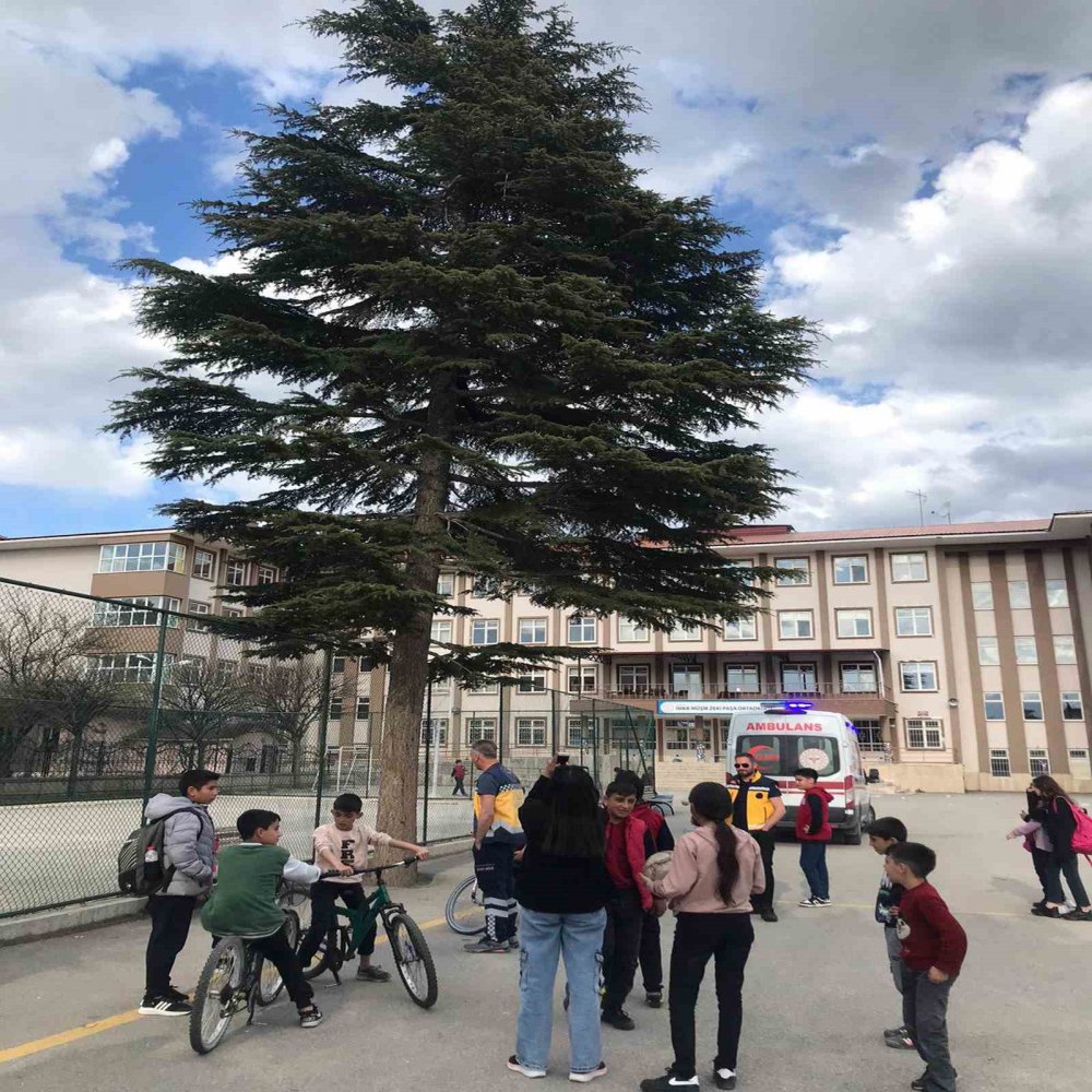 Çıktığı ağaçtan inemedi