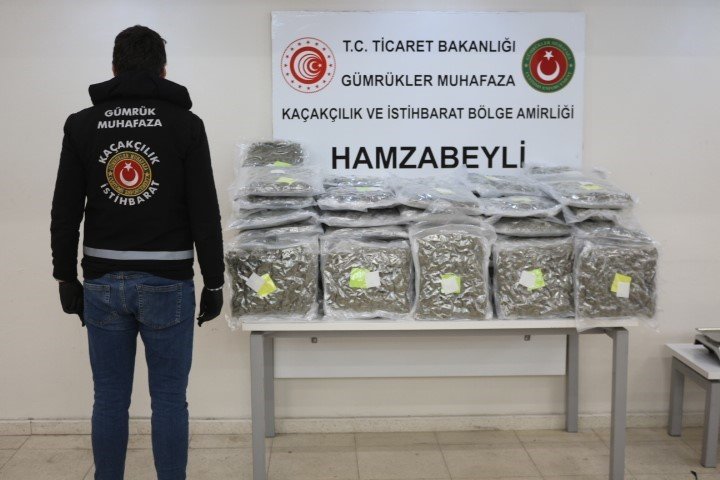Hamzabeyli Sınır Kapısı’nda uyuşturucu operasyonu: 60 kilo 756 gram esrar ele geçirildi