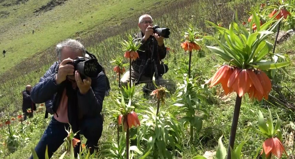 Görmek için 2 saat yürüdüler, korkudan dokunamadan geri döndüler