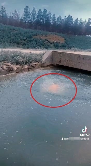 TikTok videosu çekmek isterken atladığı kanalda başını çarpıp öldü