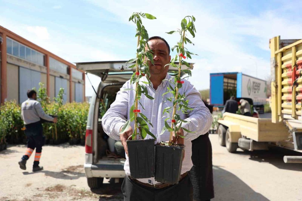 Konya Büyükşehir, 31 ilçede üreticiye destek oluyor