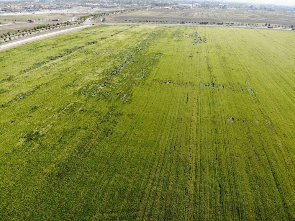 Karadeniz’den çıkan doğal gaz Konya'daki çiftçileri umutlandırdı