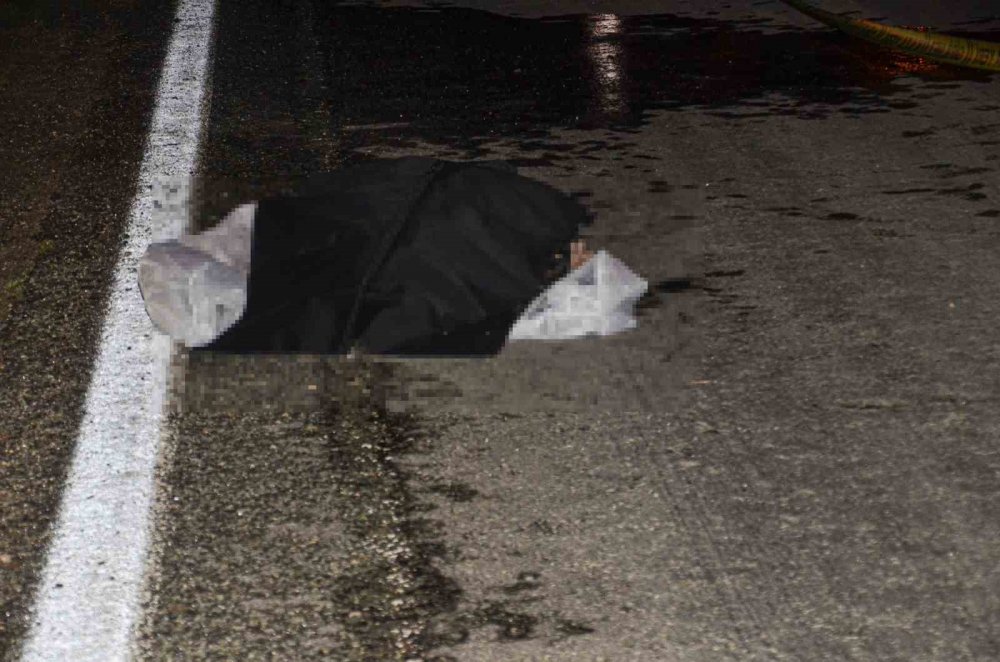 Tuvalet ihtiyacı için durdu, yolun karşısına geçmek isterken otomobil çarptı: 1 ölü