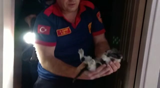 Duvara sıkıştı! Fayansları kırıp kurtardılar