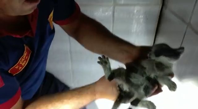 Duvara sıkıştı! Fayansları kırıp kurtardılar