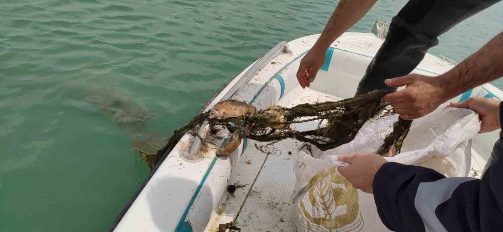 Konya’da kaçaklar yakalandı! Suya bırakıldı