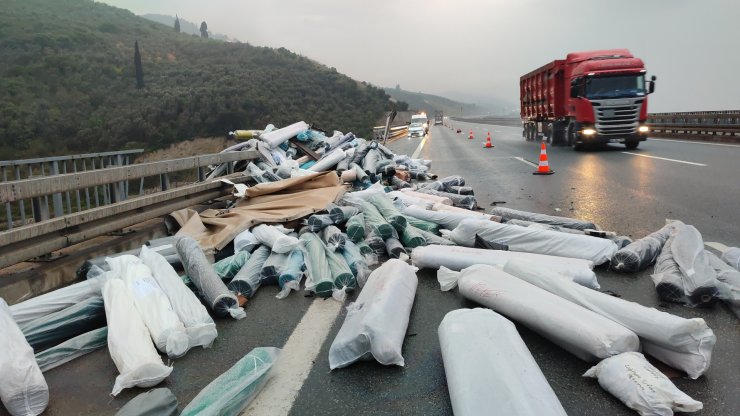 Viyadükten dere yatağına düşen TIR'ın şoförü hayatını kaybetti