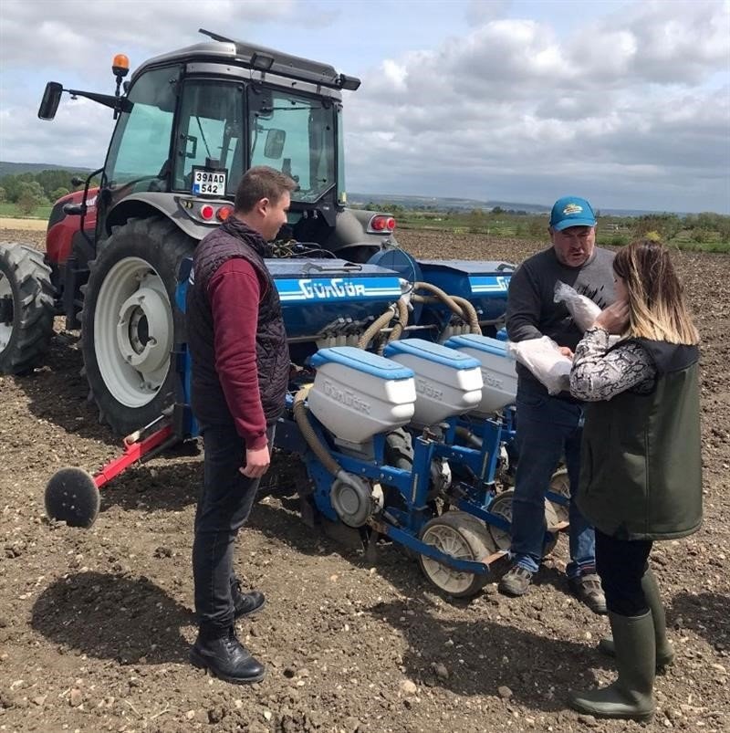 Kırklareli’de yerli ve milli ayçiçeği toprakla buluştu