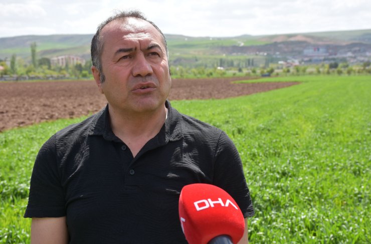 Tahılda 'sarı pas' riski